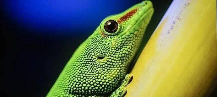 选购投影机容易忽略的重要参数,色深8bit、10bit和12bit有啥区别? 选购投影机容易忽略的重要参数,色深8bit、10bit和12bit有啥区别?