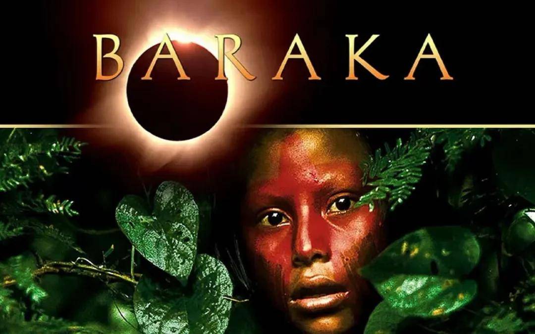 孩子暑假看点啥？12部神级纪录片分享