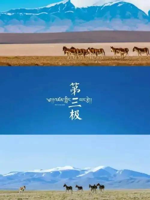 孩子暑假看点啥？12部神级纪录片分享